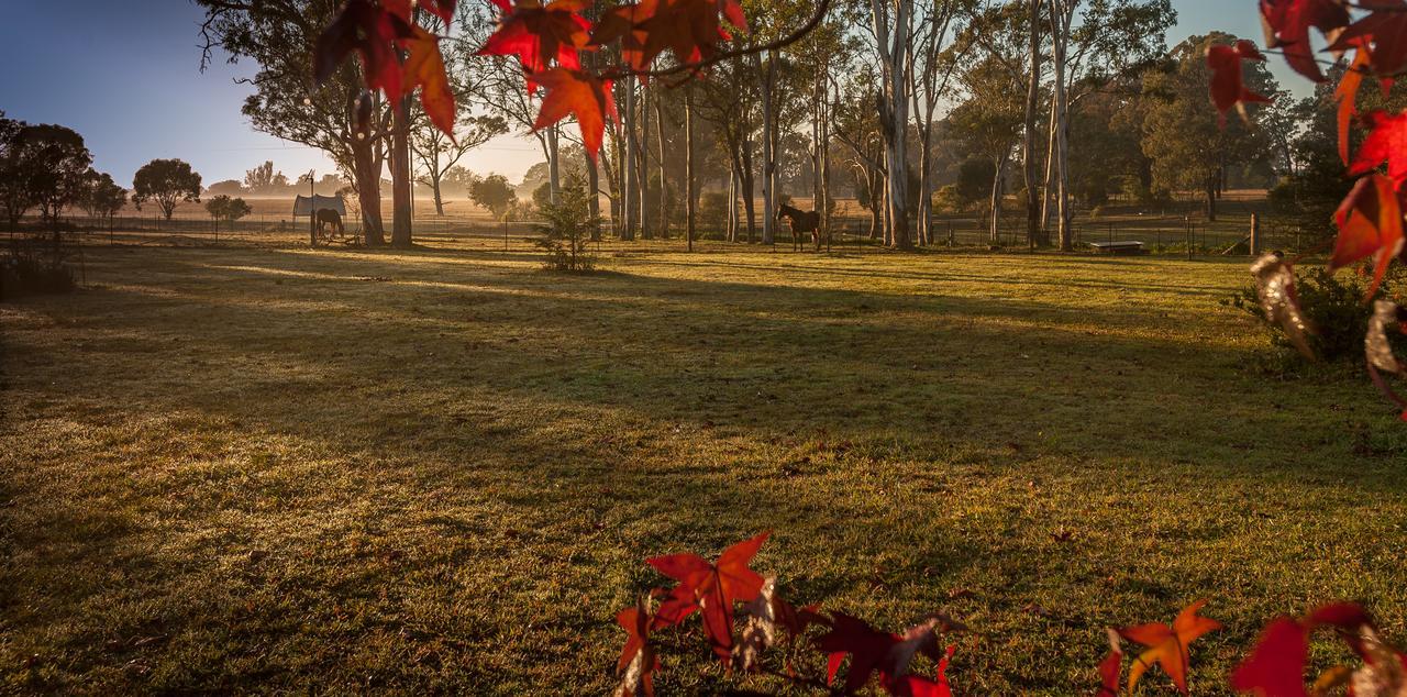 Tajmabarn Fullcircle Farm 6 Roundhill Rd Wilton Bed & Breakfast Екстериор снимка