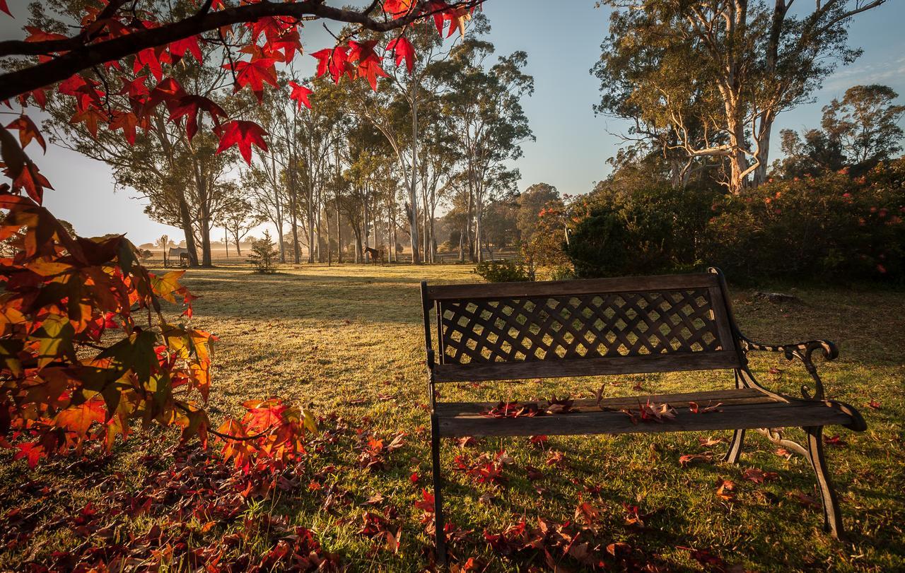 Tajmabarn Fullcircle Farm 6 Roundhill Rd Wilton Bed & Breakfast Екстериор снимка